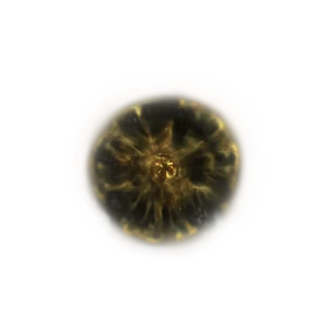 Shadow Realm Rune 2