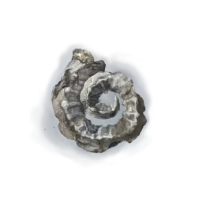 Silver Horn Tender